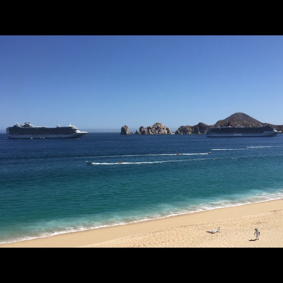 Meet your Posher, Grace - Picture 1 of 1